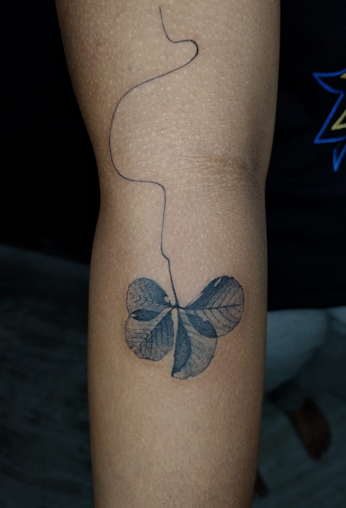The leaf