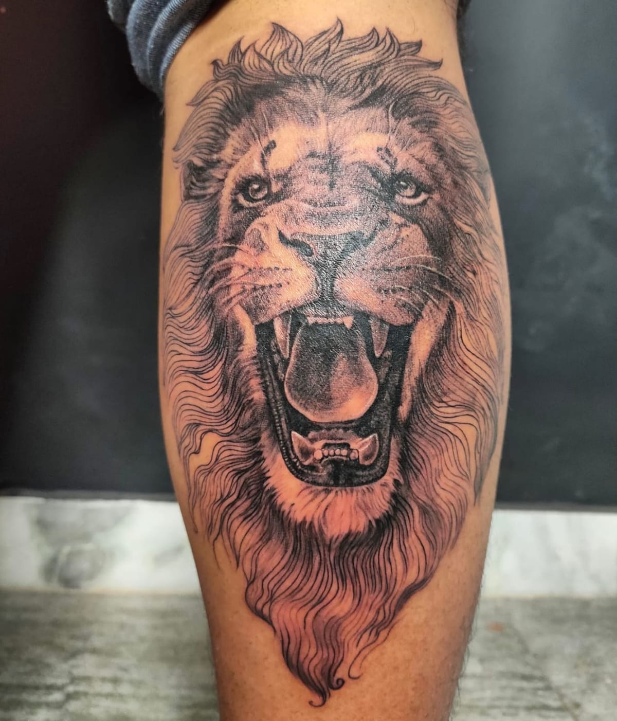 Lion line