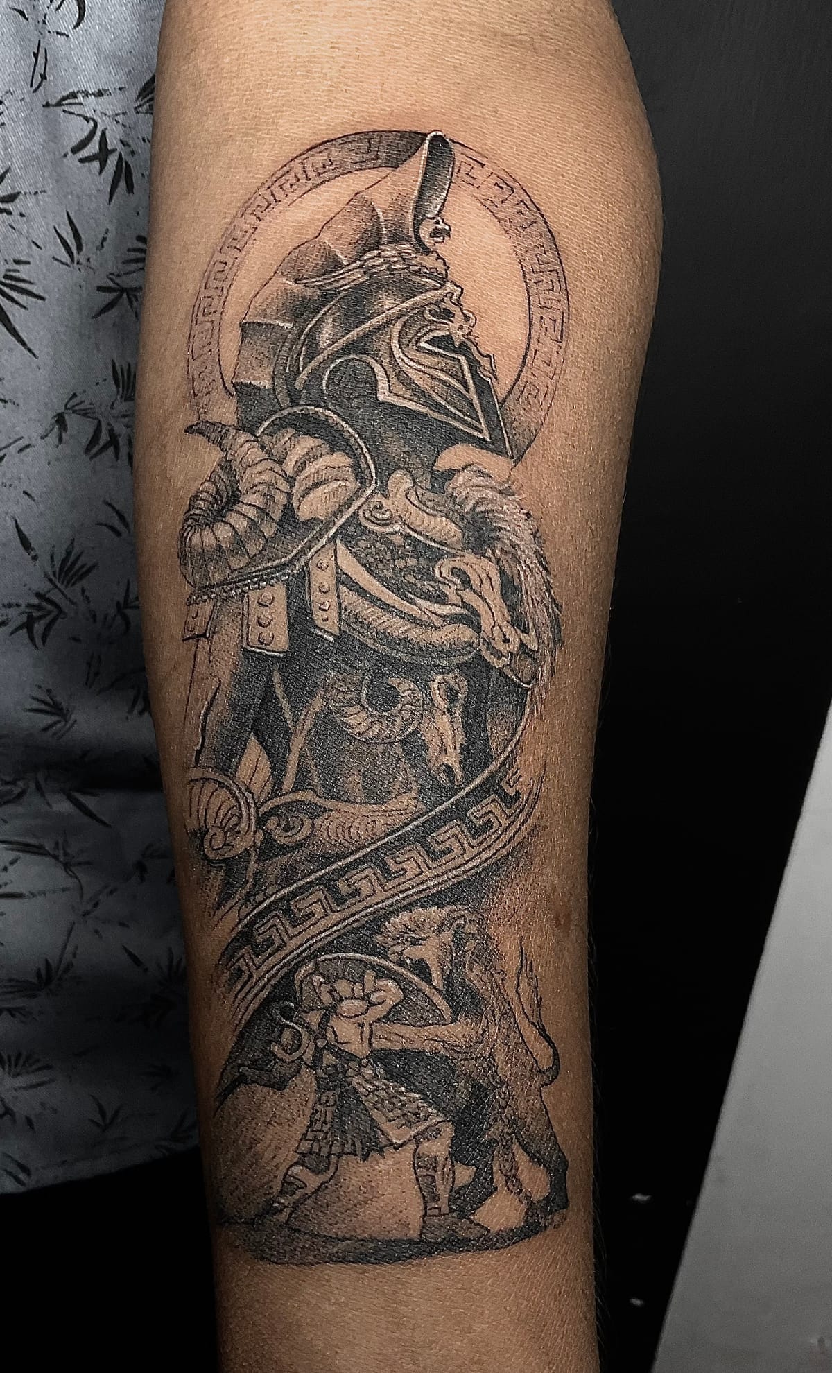 The knight