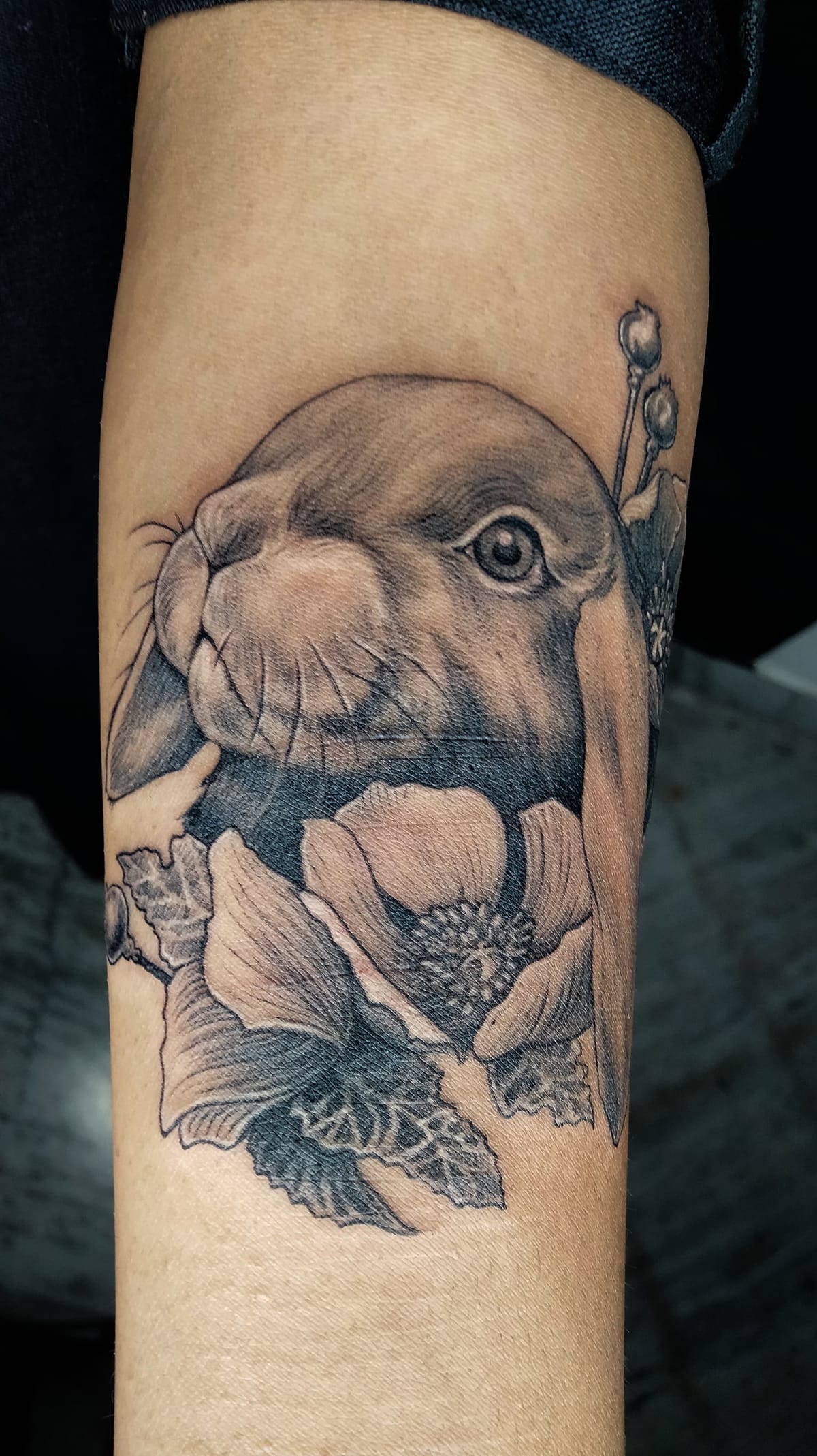 Sweet rabbit